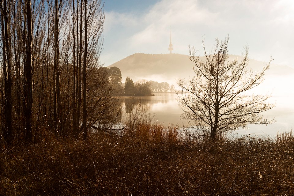 mist lake